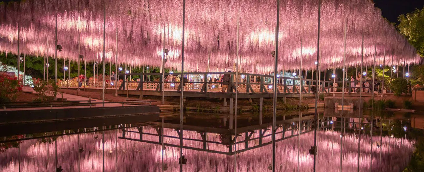 บริเวณโดยรอบ