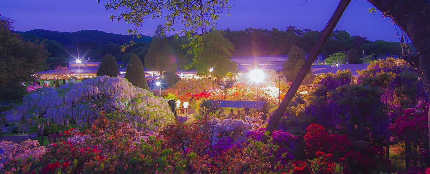 บริเวณโดยรอบ