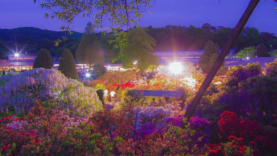 Hotel Wakasa