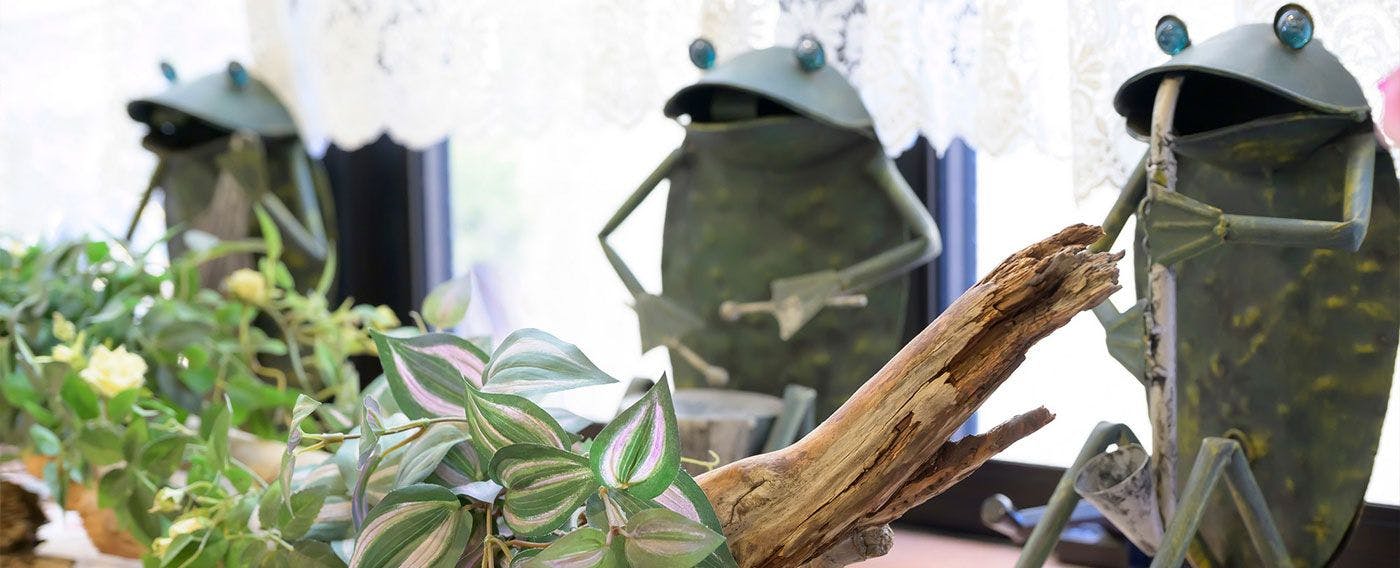 การตกแต่ง