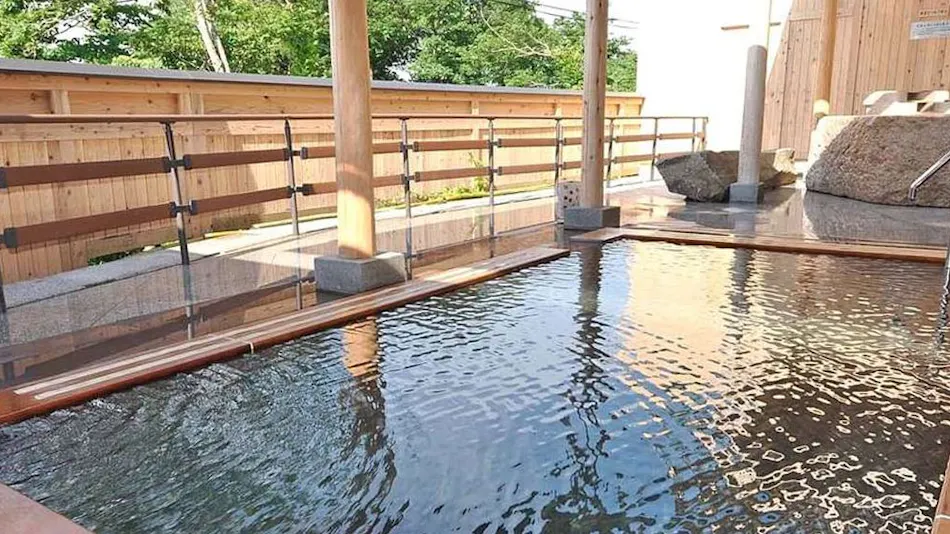 Ichinoseki Onsen Yamasakura Momo no Yu