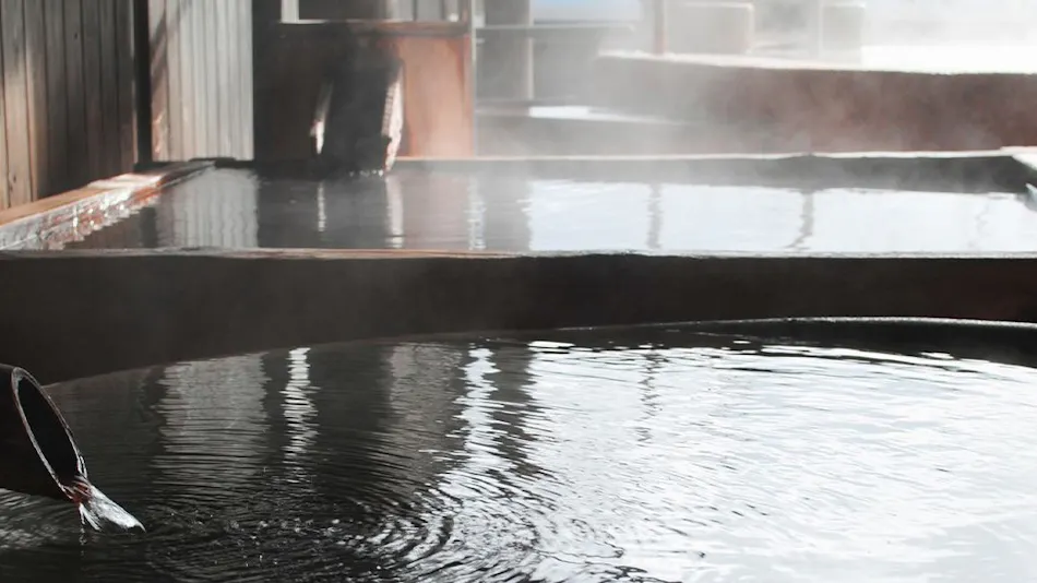 Ichinoseki Onsen Yamasakura Momo no Yu