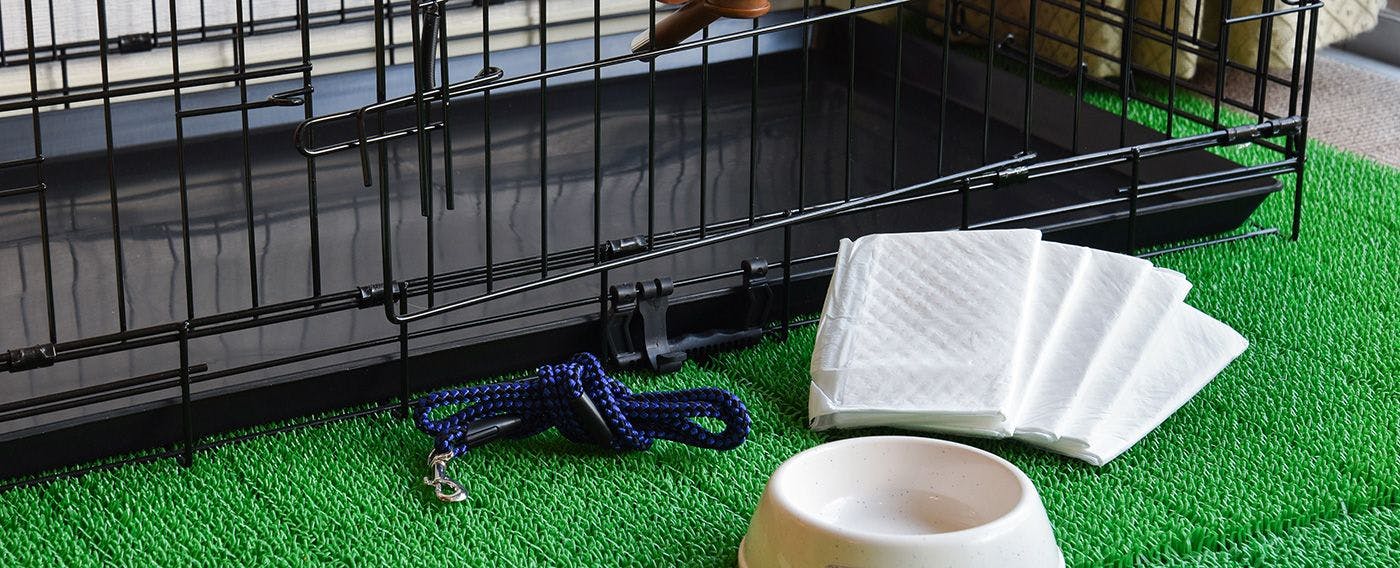 Barangan haiwan peliharaan