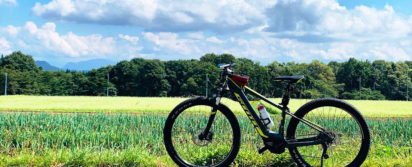 e-바이크 사이클링