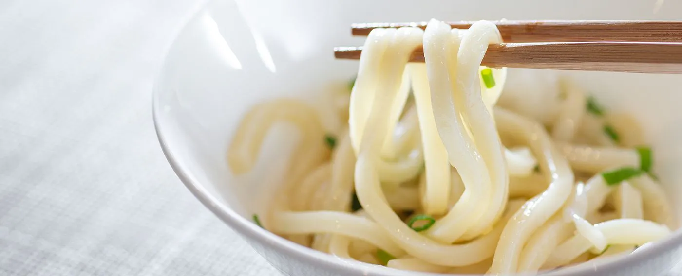 Udon