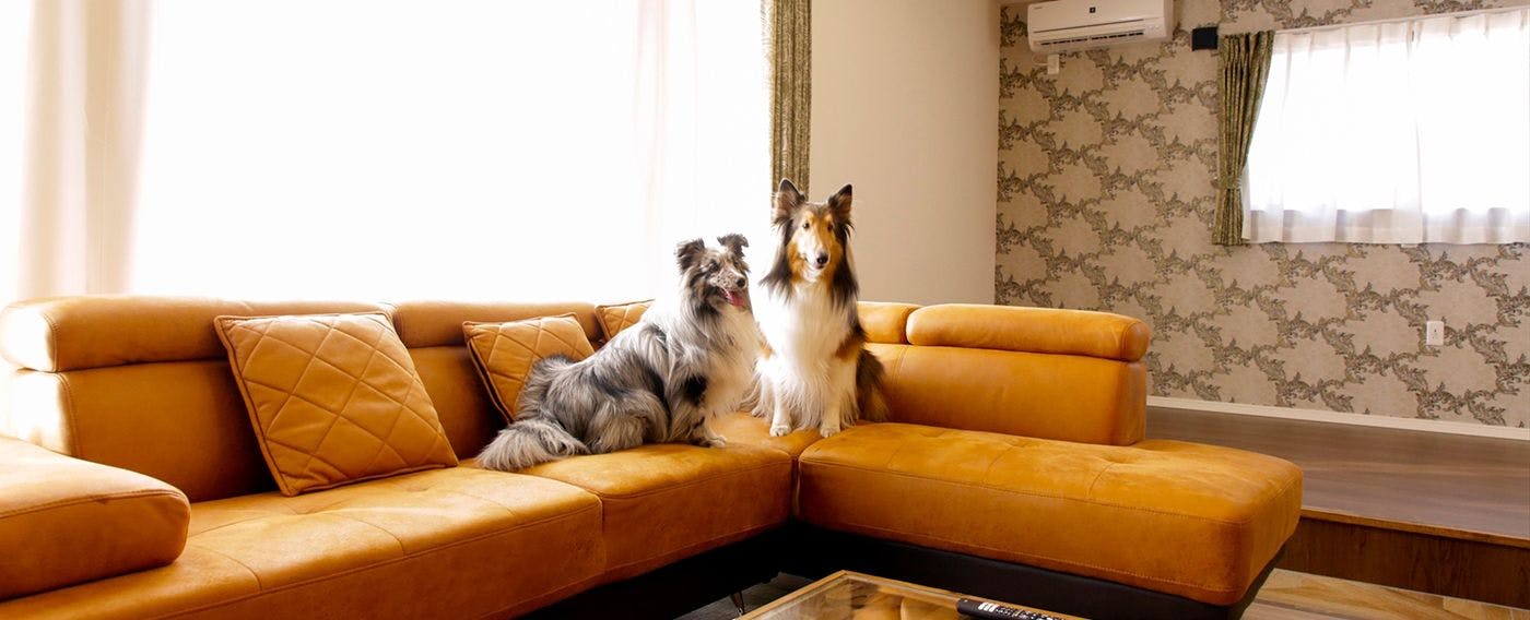 เพลิดเพลินกับการเข้าพักราวกับเป็นบ้านพักตากอากาศส่วนตัวของคุณเอง