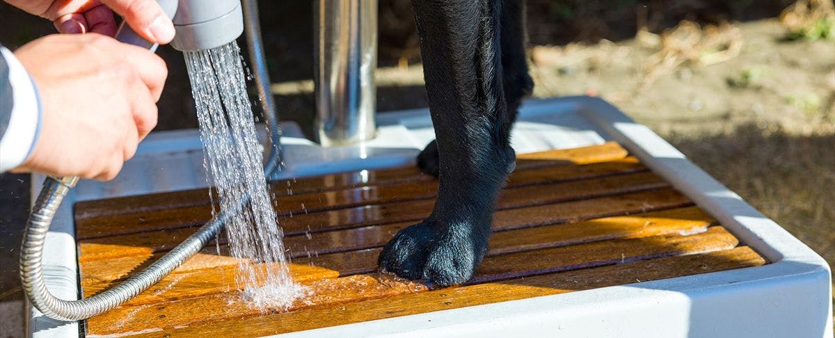 ก๊อกน้ำภายนอกช่วยทำความสะอาดสวนได้อย่างง่ายดาย