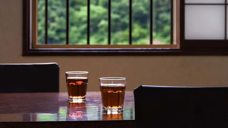 Tokamachi Inn Okuechigo Hatago Ichibankan