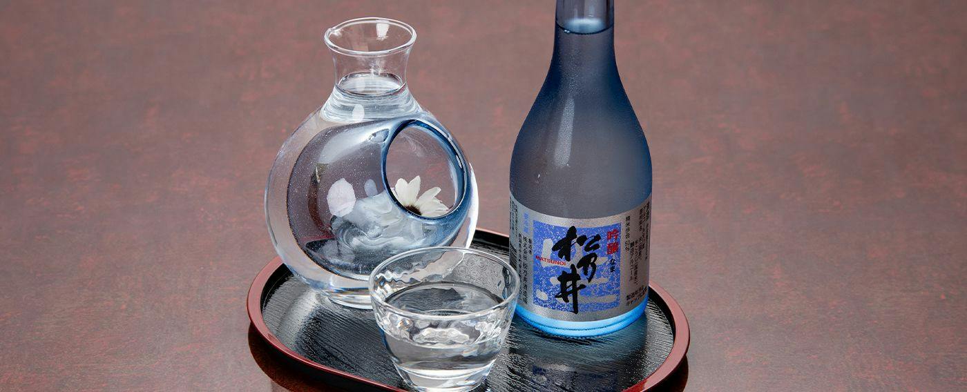 Tokamachi Inn Okuechigo Hatago Ichibankan