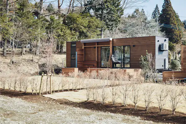 รูปลักษณ์ภายนอก