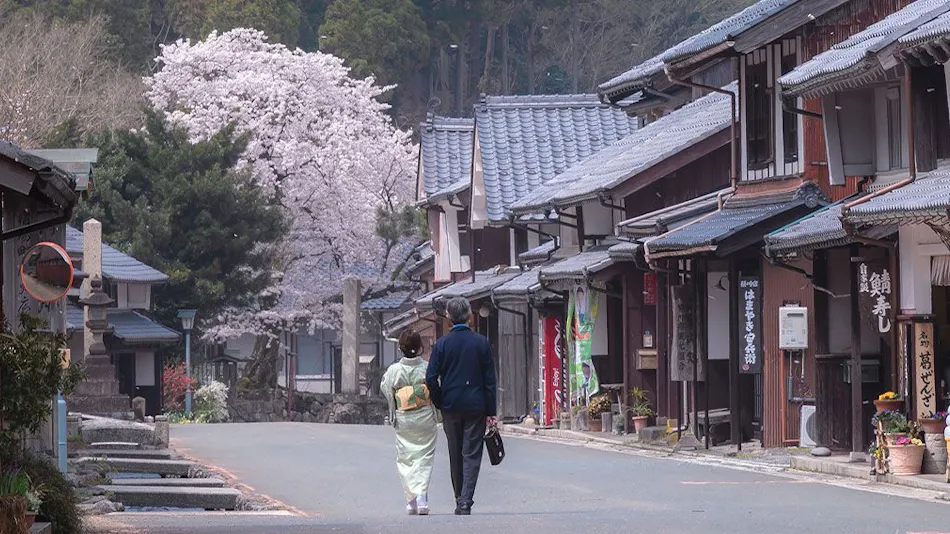 Yaokumagawa