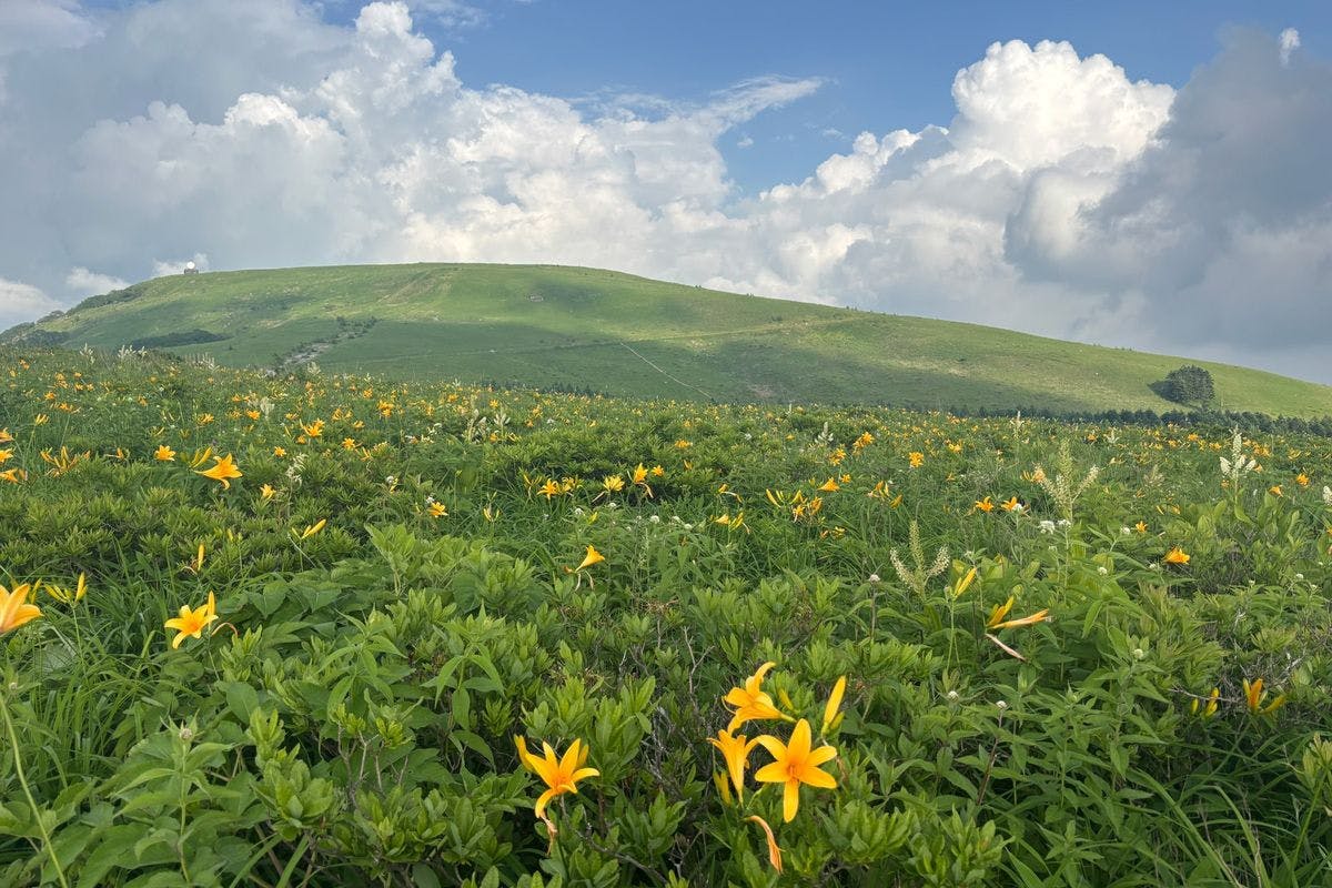 GUESTHOUSE HO ALOHA 4SEASONS