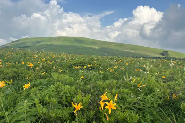 วิวโดยรอบ