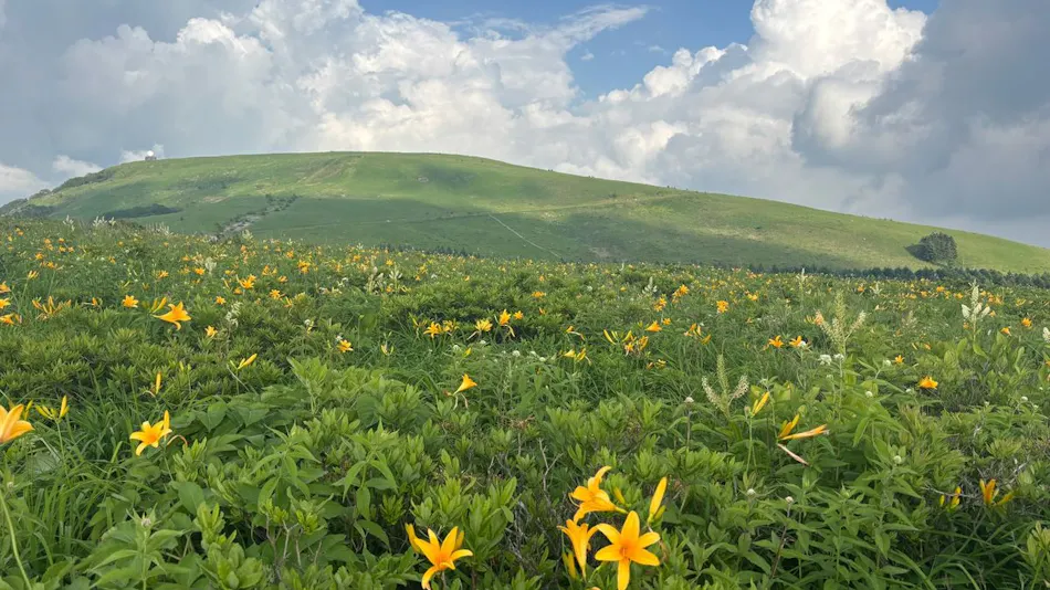 GUESTHOUSE HO ALOHA 4SEASONS