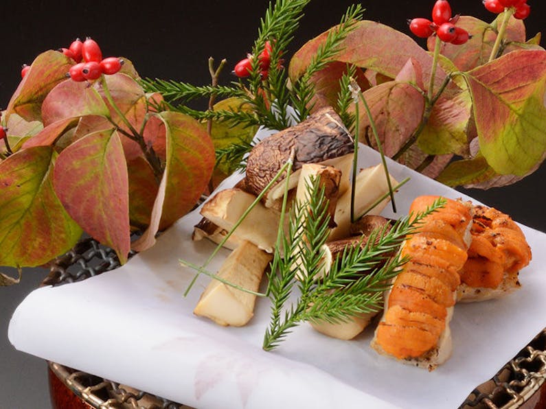 ぎおん畑中 の空室状況を確認する 宿泊予約は 一休 Com ぎおん畑中 の空室状況を確認する 宿泊予約は 一休 Com