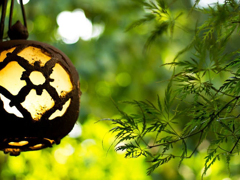 ぎおん畑中 の空室状況を確認する 宿泊予約は 一休 Com ぎおん畑中 の空室状況を確認する 宿泊予約は 一休 Com