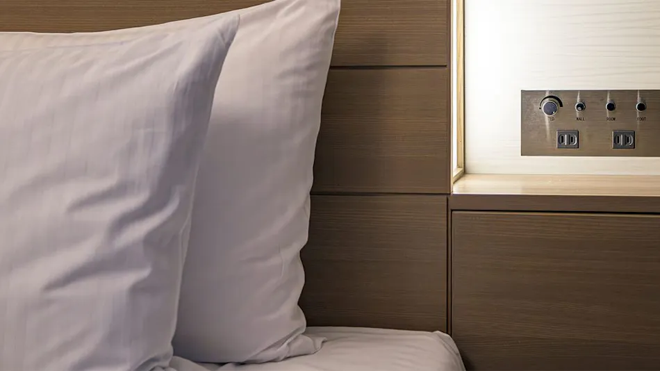 東京灣大倉酒店