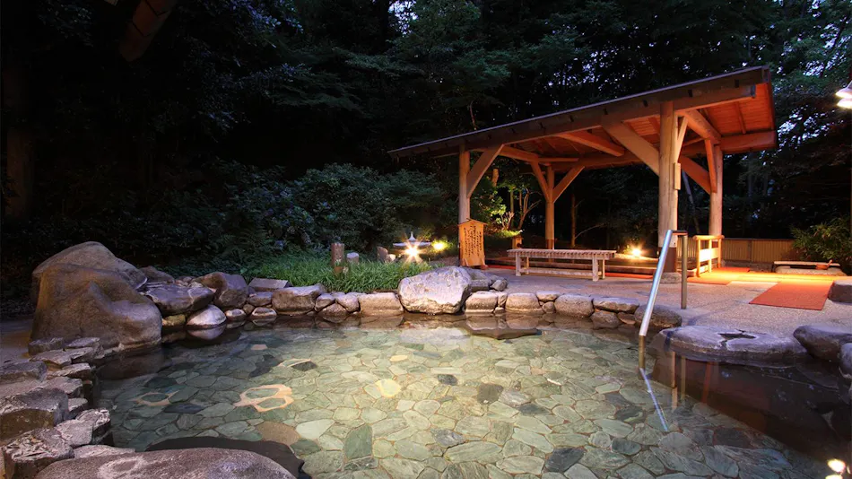 Yumoto Fujiya Hotel