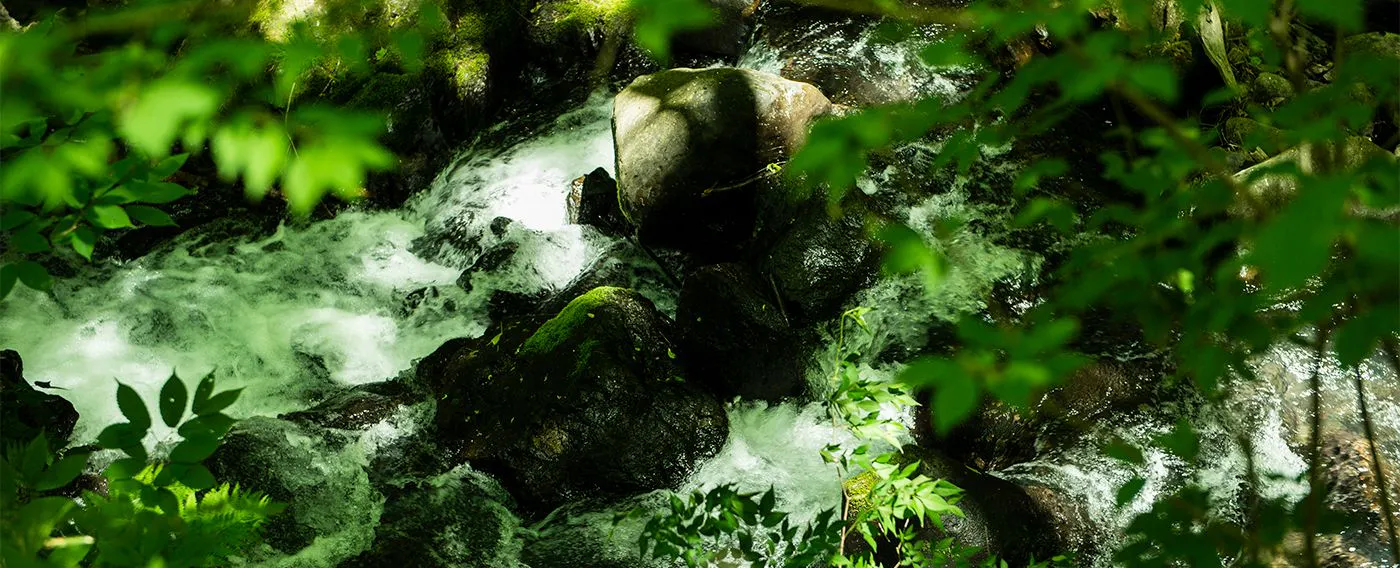 扉温泉 明神館の四季