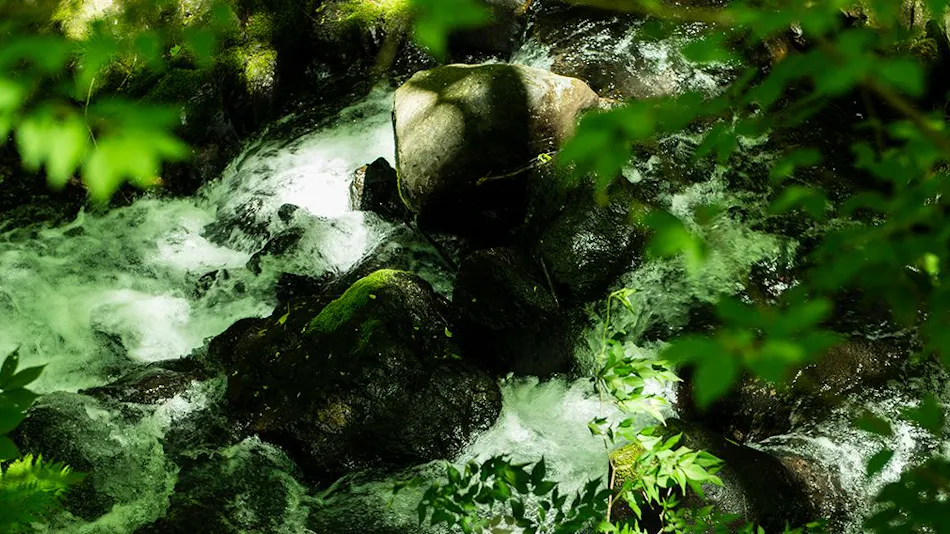 Tobira Onsen Myojinkan