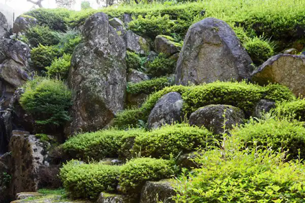 น้ำพุร้อน