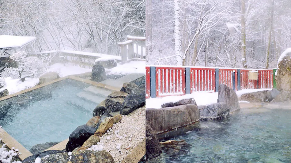 Irori Kaiseki and Juhyo Inn Fudo Onsen Hanabishi