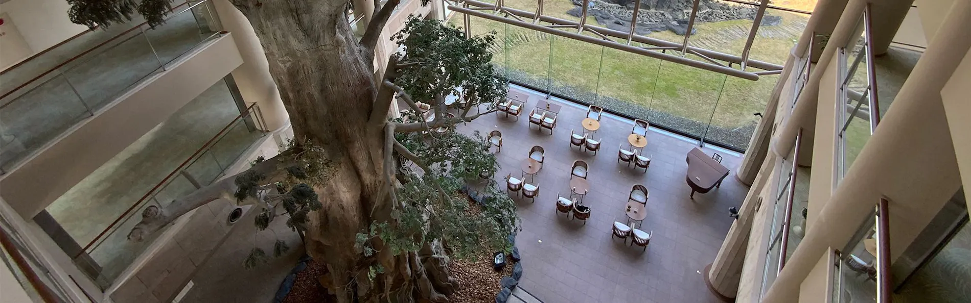 屋久島いわさきホテル