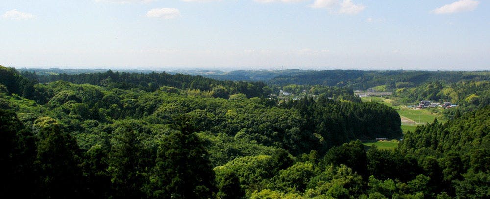 Okura Akademia Park Hotel