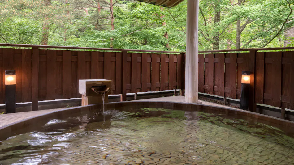 Hanamaki Onsen Kashoen