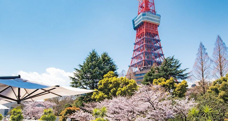 夕食はレストラン ランキング 東京タワー水族館のビジネスホテル 宿泊予約は 一休 Com 夕食はレストラン ランキング 東京タワー水族館のビジネスホテル 宿泊予約は 一休 Com
