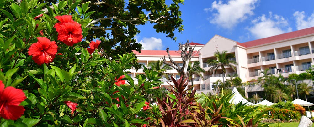 ããã«å¤è¦³