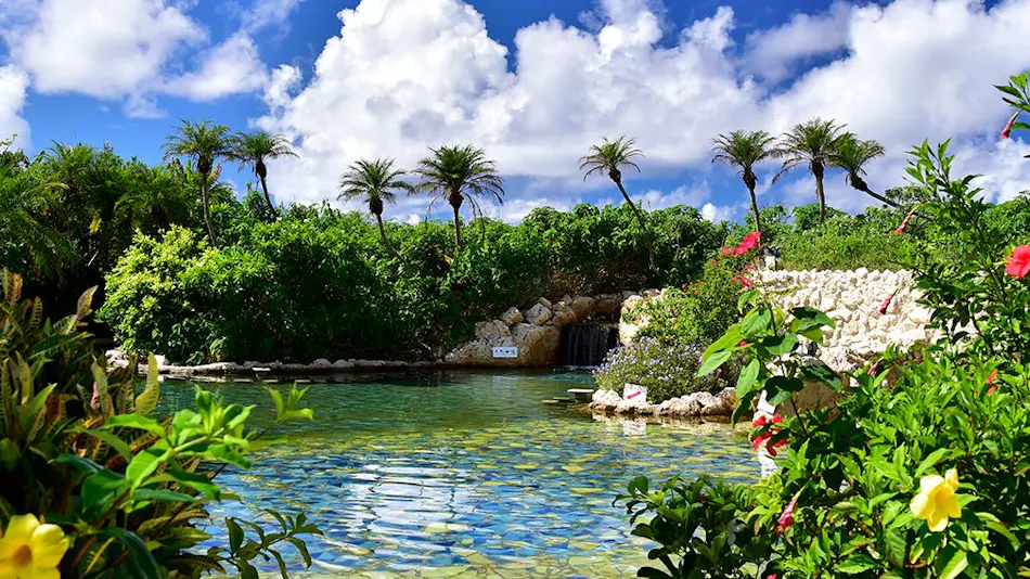 Hotel Breeze Bay Marina