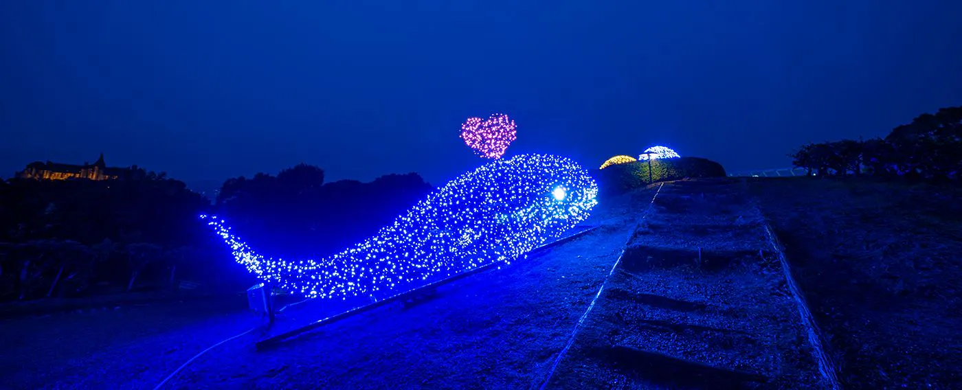 Iluminous Ocean/イルミナスオーシャン