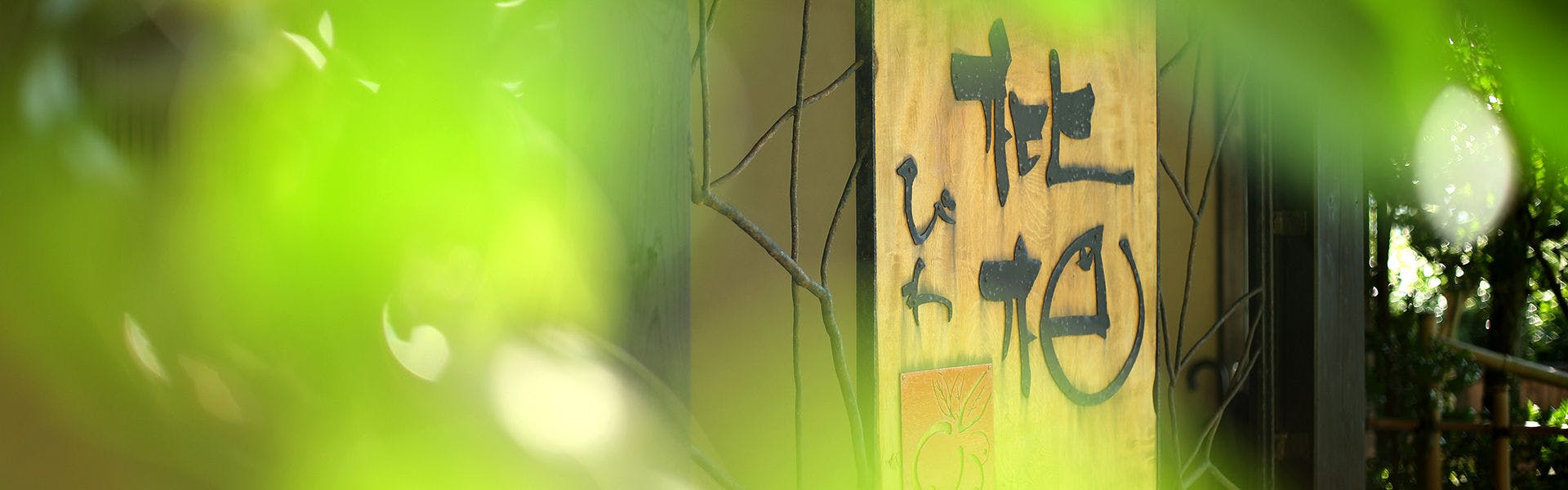 森の入り江の離れ宿　無雙庵枇杷