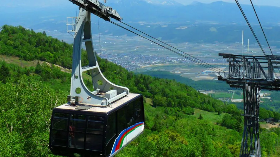 Shin Furano Prince Hotel