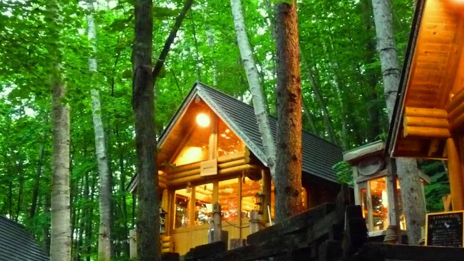 Shin Furano Prince Hotel