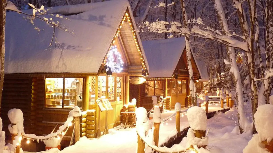 Shin Furano Prince Hotel