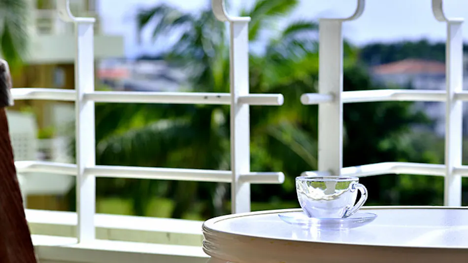 THE NEST ISHIGAKI