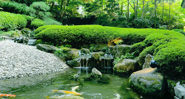 有馬温泉の客室 アメニティの評価が高いホテル 旅館 選 宿泊予約は 一休 Com 有馬温泉の客室 アメニティの評価が高いホテル 旅館 選 宿泊予約は 一休 Com