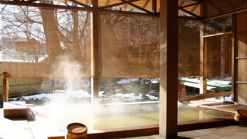 Jozankei Daiichi Hotel Suizantei