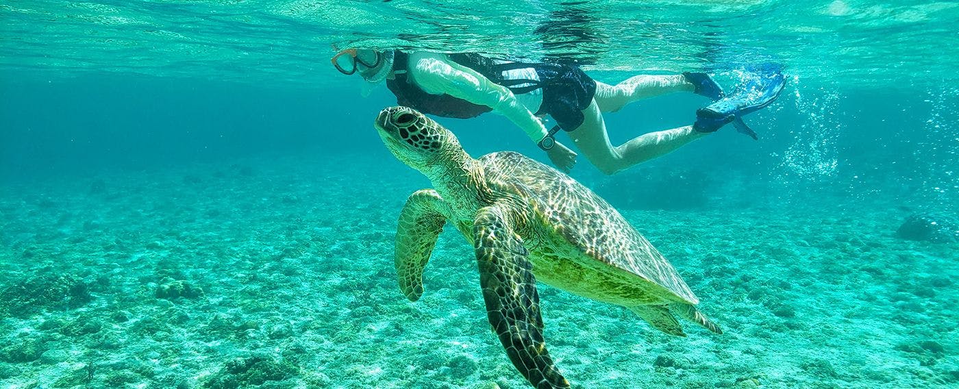 豐富的海上活動，讓您盡情享受宮古藍。