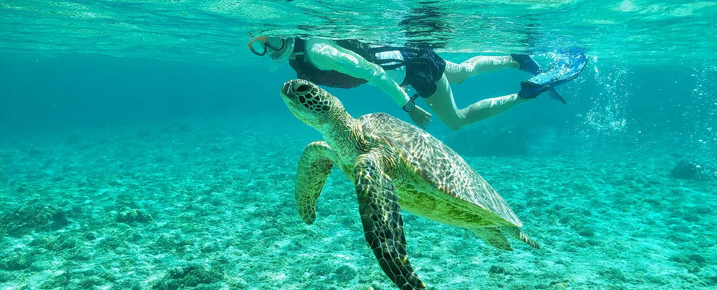 豐富的海上活動,讓您盡情享受宮古藍。