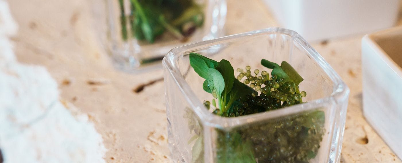 請享受悠閒的島嶼時光。