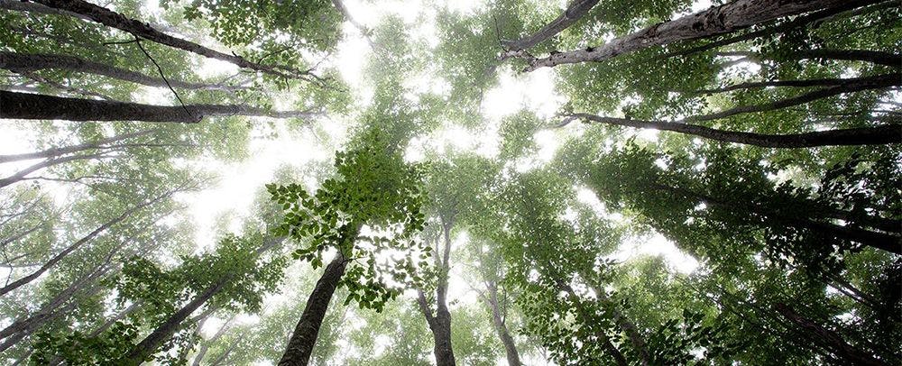 กิจกรรม