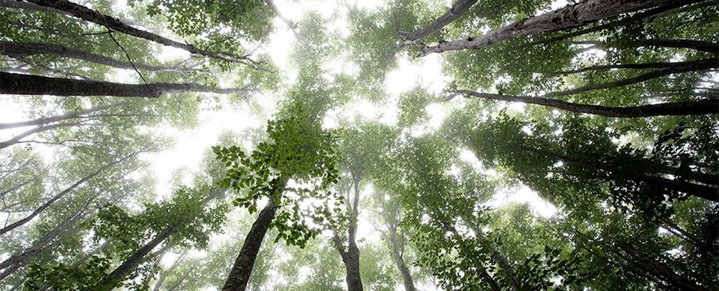 กิจกรรม