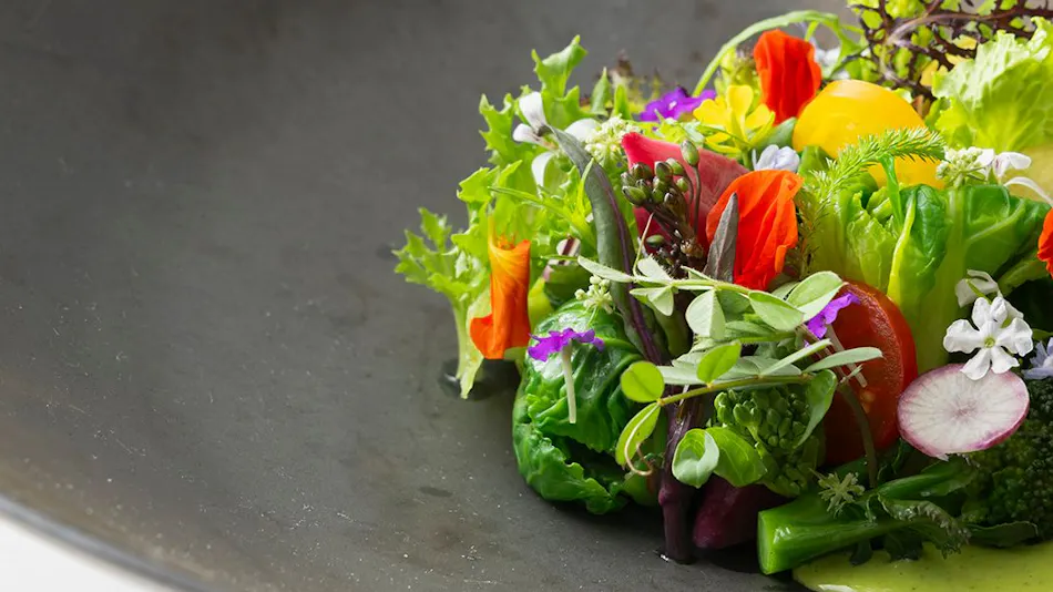 River Retreat Garaku