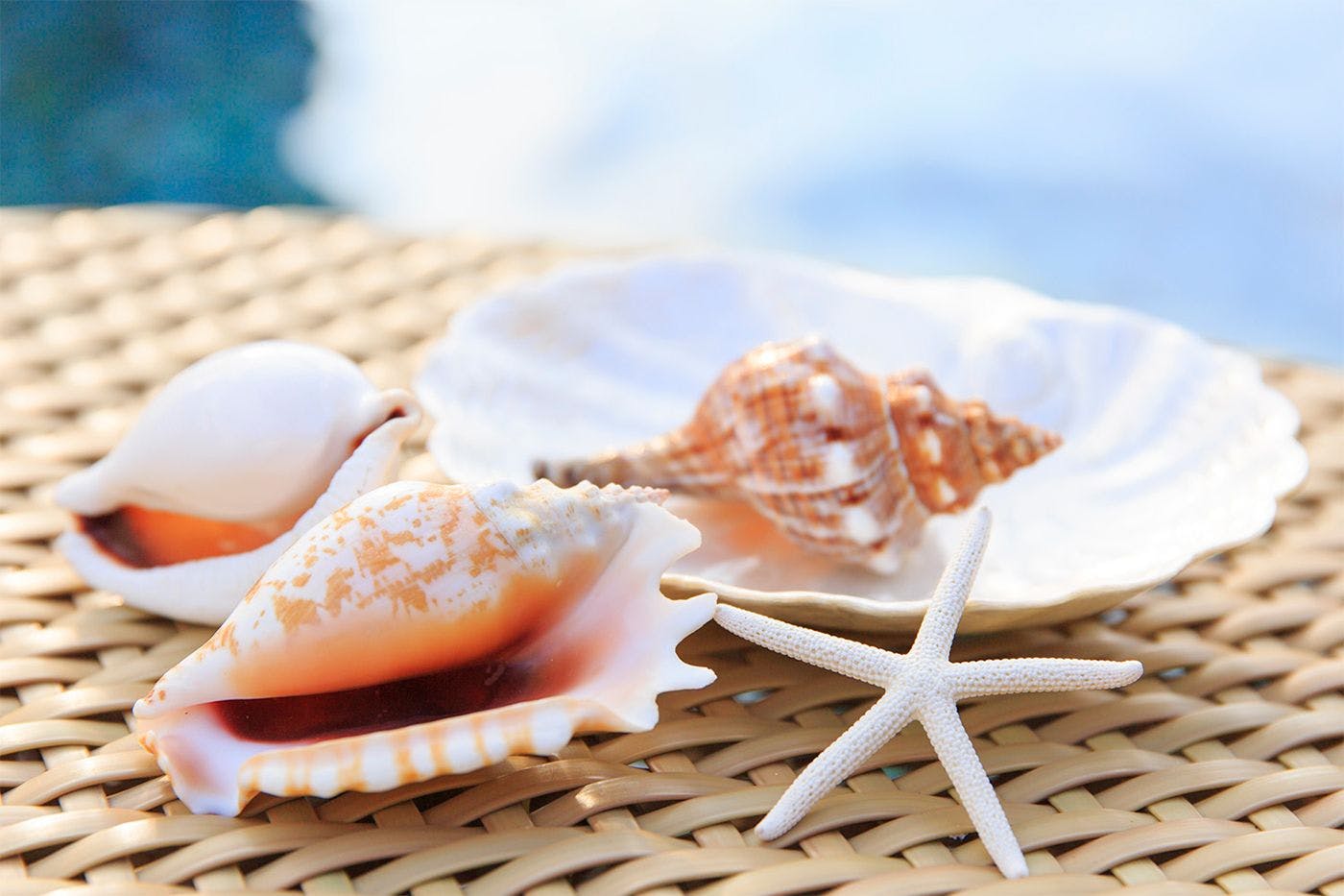 食べるお宿　浜の湯