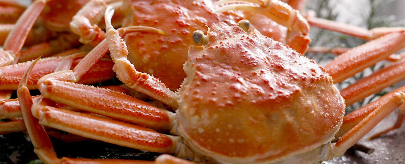 夕食はお部屋 近畿 大阪以外 の一人旅におすすめのホテル 旅館 選 お得に宿泊予約 Yahoo トラベル