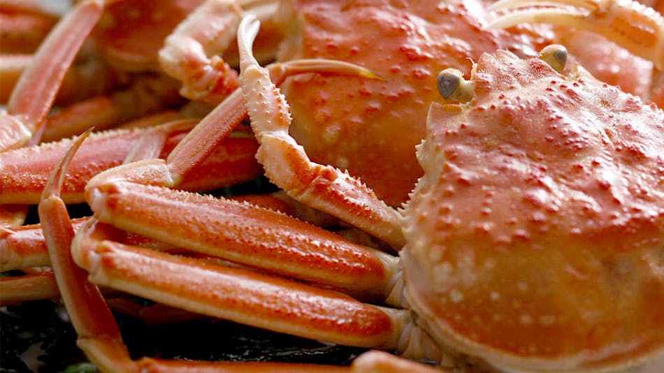 夕食はお部屋 近畿 大阪以外 の一人旅におすすめのホテル 旅館 選 お得に宿泊予約 Yahoo トラベル 夕食はお部屋 近畿 大阪以外 の一人旅におすすめのホテル 旅館 選 お得に宿泊予約 Yahoo トラベル