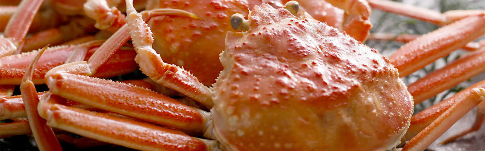 湯村温泉 朝野家